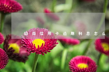 招商信用卡逾期利息怎么算6 招商信用卡逾期利息怎么算6