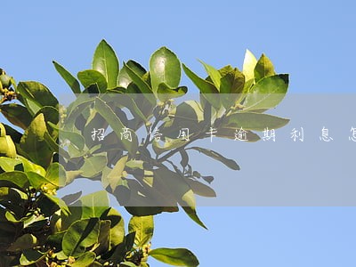 招商信用卡逾期利息怎么计算