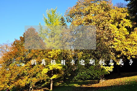 招商信用卡逾期利息是多少 招商信用卡逾期利息是多少