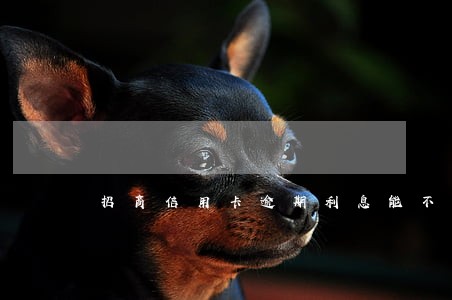 招商信用卡逾期利息能不给吗 招商信用卡逾期利息能不给吗