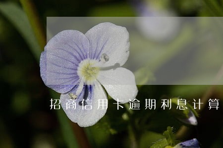 招商信用卡逾期利息计算 招商信用卡逾期利息计算