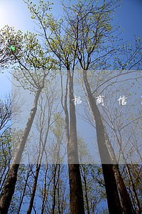 招商信用卡逾期办储蓄卡影响吗 招商信用卡逾期办储蓄卡影响吗