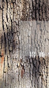招商信用卡逾期办理 招商信用卡逾期办理