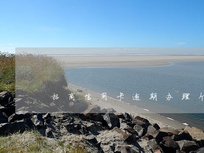 招商信用卡逾期办理个性化分期 招商信用卡逾期办理个性化分期