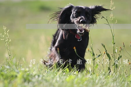 招商信用卡逾期十万会被判刑吗 招商信用卡逾期十万会被判刑吗