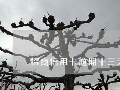 招商信用卡逾期十三天 招商信用卡逾期十三天