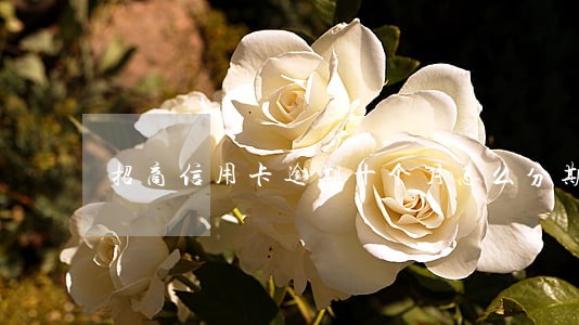 招商信用卡逾期十个月怎么分期 招商信用卡逾期十个月怎么分期