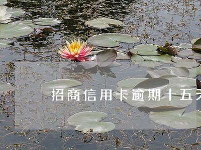 招商信用卡逾期十五天接到电话 招商信用卡逾期十五天接到电话