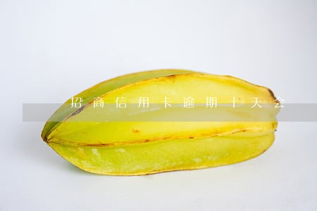 招商信用卡逾期十天会 招商信用卡逾期十天会