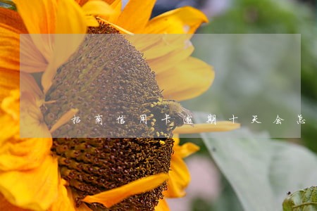 招商信用卡逾期十天会怎样 招商信用卡逾期十天会怎样