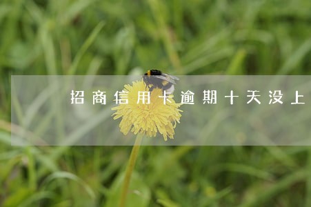 招商信用卡逾期十天没上征信