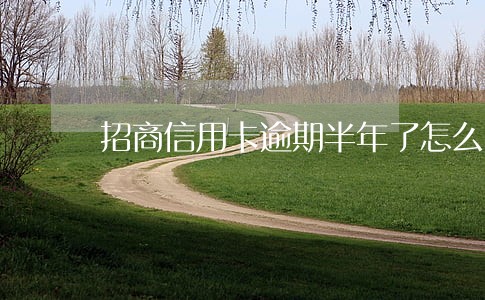 招商信用卡逾期半年了怎么办 招商信用卡逾期半年了怎么办