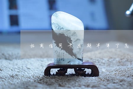 招商信用卡逾期半年了怎么协商还