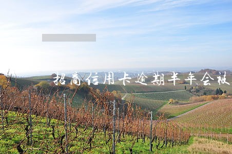 招商信用卡逾期半年会被捉吗 招商信用卡逾期半年会被捉吗