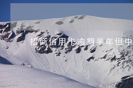 招商信用卡逾期半年但中途还过