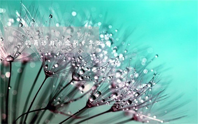 招商信用卡逾期半年坐牢 招商信用卡逾期半年坐牢
