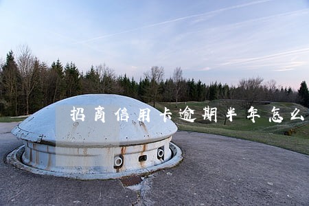 招商信用卡逾期半年怎么办 招商信用卡逾期半年怎么办