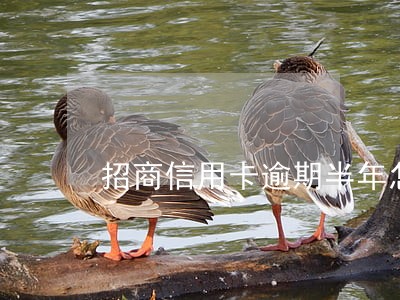 招商信用卡逾期半年怎么协商 招商信用卡逾期半年怎么协商