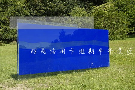 招商信用卡逾期半年没还会怎么样 招商信用卡逾期半年没还会怎么样