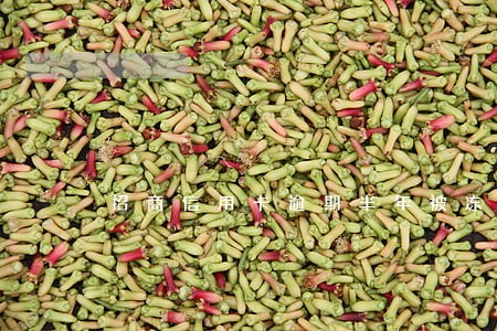 招商信用卡逾期半年被冻结 招商信用卡逾期半年被冻结