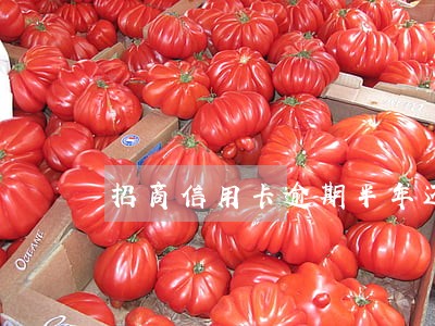 招商信用卡逾期半年还款后果 招商信用卡逾期半年还款后果
