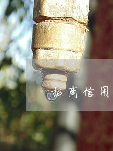 招商信用卡逾期协商分期不成