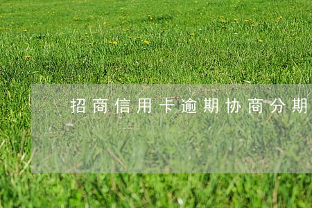 招商信用卡逾期协商分期方案上海 招商信用卡逾期协商分期方案上海