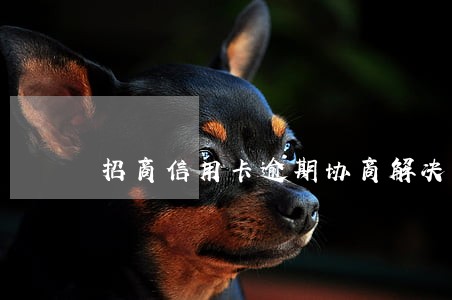 招商信用卡逾期协商解决