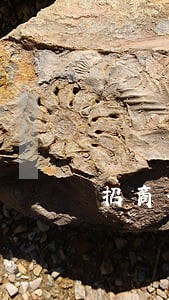 招商信用卡逾期协商说要上门