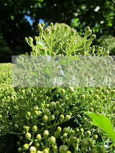 招商信用卡逾期协商资料 招商信用卡逾期协商资料