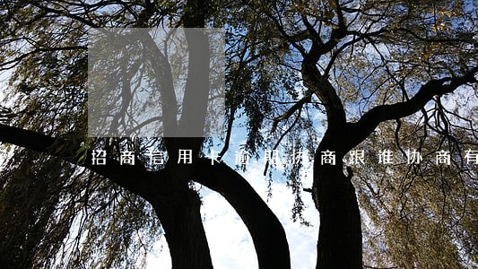 招商信用卡逾期协商跟谁协商有效