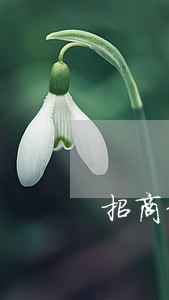招商信用卡逾期发了