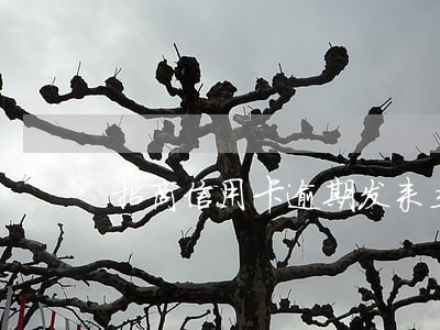 招商信用卡逾期发来立案告知函 招商信用卡逾期发来立案告知函