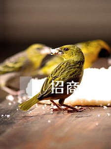 招商信用卡逾期发邮件说要起诉 招商信用卡逾期发邮件说要起诉