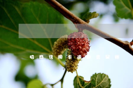 招商信用卡逾期变呆账 招商信用卡逾期变呆账
