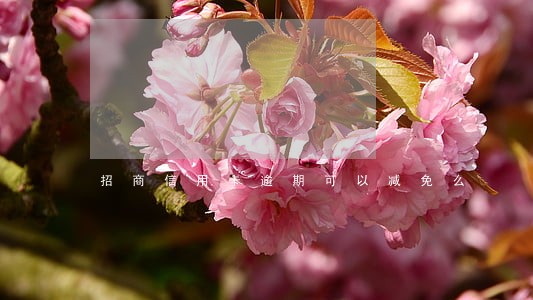招商信用卡逾期可以减免么