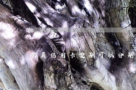 招商信用卡逾期可以分期还款吗 招商信用卡逾期可以分期还款吗