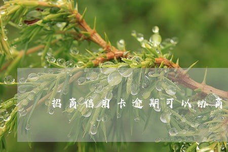 招商信用卡逾期可以协商全还吗 招商信用卡逾期可以协商全还吗