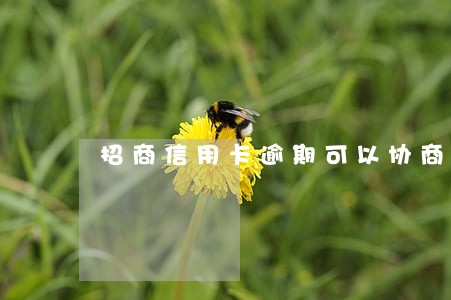 招商信用卡逾期可以协商解决吗