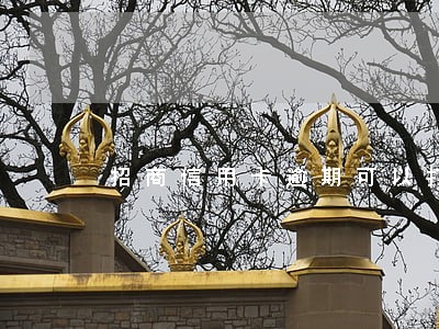 招商信用卡逾期可以打流水账单吗 招商信用卡逾期可以打流水账单吗