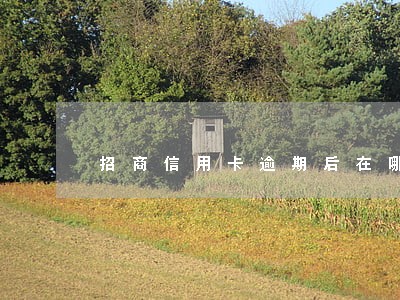 招商信用卡逾期后在哪里还款 招商信用卡逾期后在哪里还款