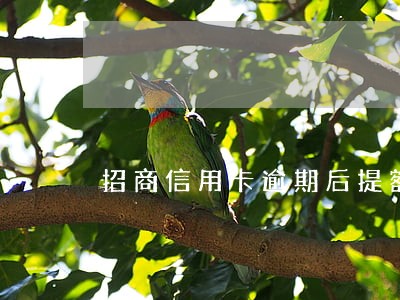 招商信用卡逾期后提额度吗