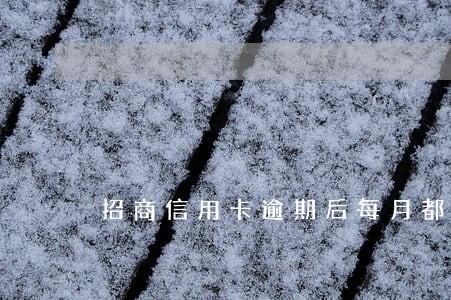 招商信用卡逾期后每月都在还 招商信用卡逾期后每月都在还