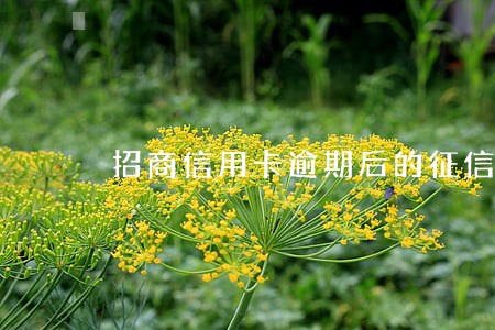 招商信用卡逾期后的征信记录