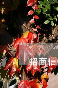 招商信用卡逾期后的抵扣顺序 招商信用卡逾期后的抵扣顺序
