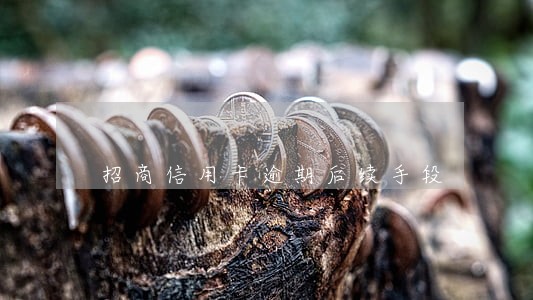 招商信用卡逾期后续手段