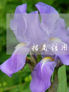 招商信用卡逾期后能分期付款吗 招商信用卡逾期后能分期付款吗