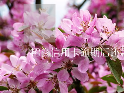 招商信用卡逾期后还款还能用吗 招商信用卡逾期后还款还能用吗