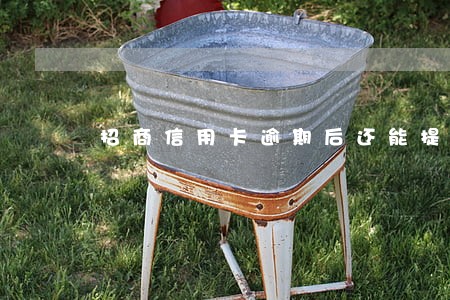 招商信用卡逾期后还能提额吗 招商信用卡逾期后还能提额吗