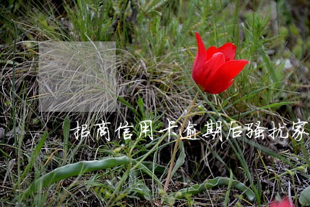 招商信用卡逾期后骚扰家人 招商信用卡逾期后骚扰家人